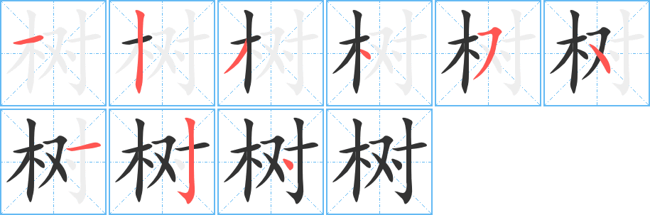 树的笔画顺序