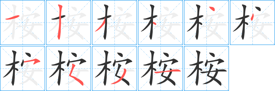 桉的笔画顺序
