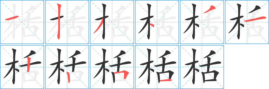 栝的笔画顺序