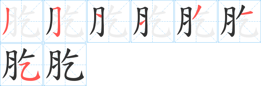 肐的笔画顺序