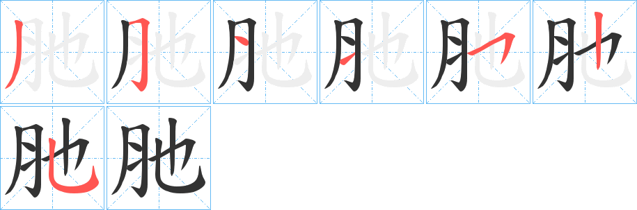 肔的笔画顺序