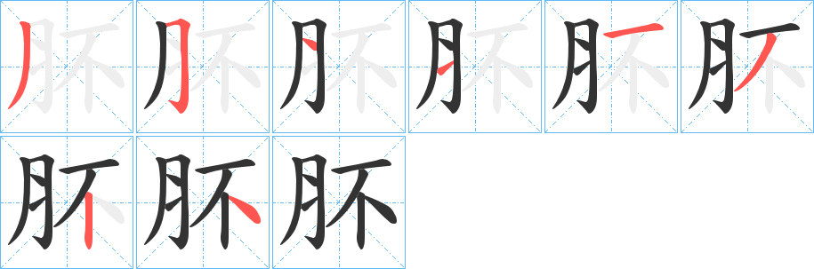 肧的笔画顺序