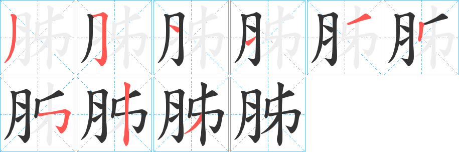 胏的笔画顺序