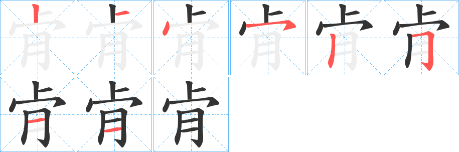 肻的笔画顺序