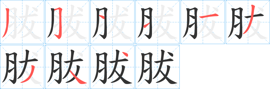 胈的笔画顺序
