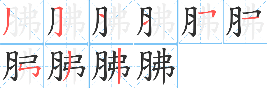 胇的笔画顺序