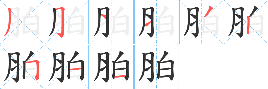 胉的笔画顺序