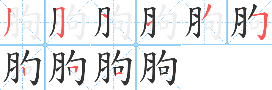 胊的笔画顺序