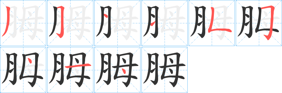 胟的笔画顺序
