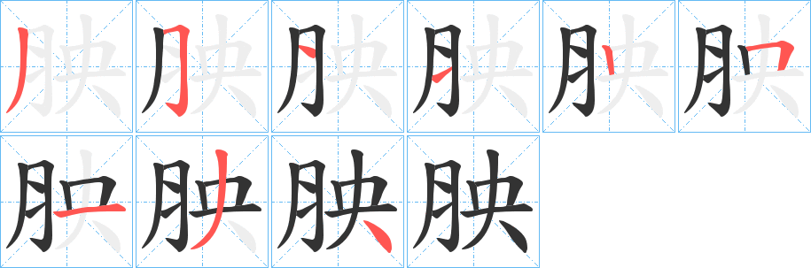 胦的笔画顺序