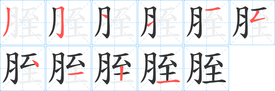 胵的笔画顺序