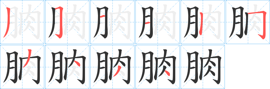 朒的笔画顺序