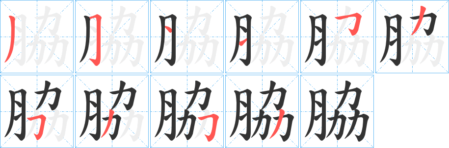 脇的笔画顺序
