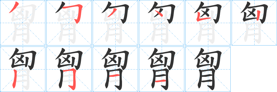 胷的笔画顺序