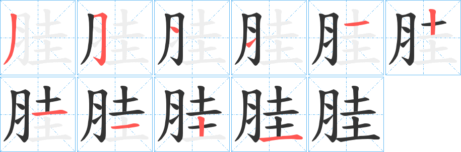 胿的笔画顺序