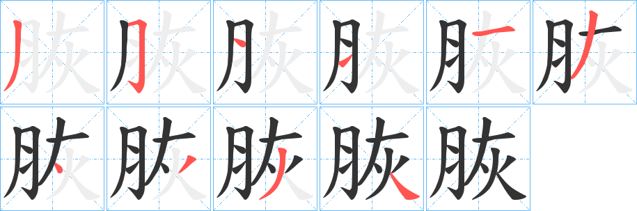 脄的笔画顺序
