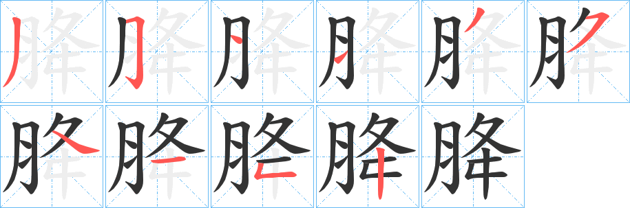 胮的笔画顺序