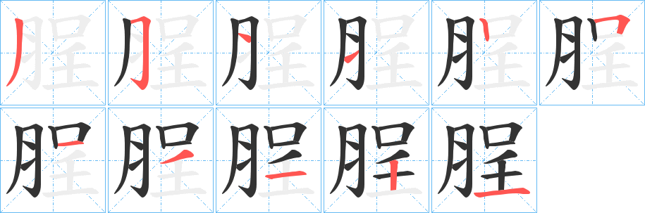 脭的笔画顺序