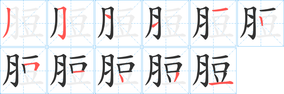 脰的笔画顺序