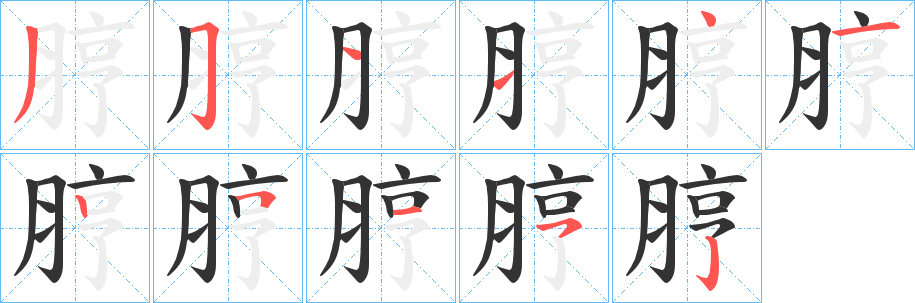 脝的笔画顺序