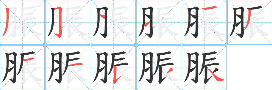 脤的笔画顺序