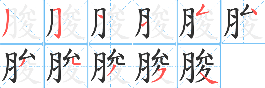 脧的笔画顺序