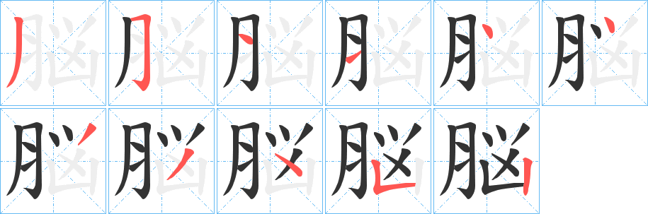 脳的笔画顺序