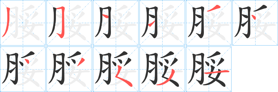 脮的笔画顺序