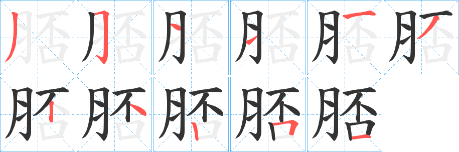 脴的笔画顺序