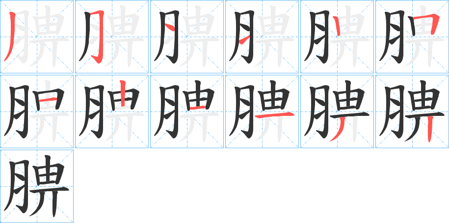 腗的笔画顺序