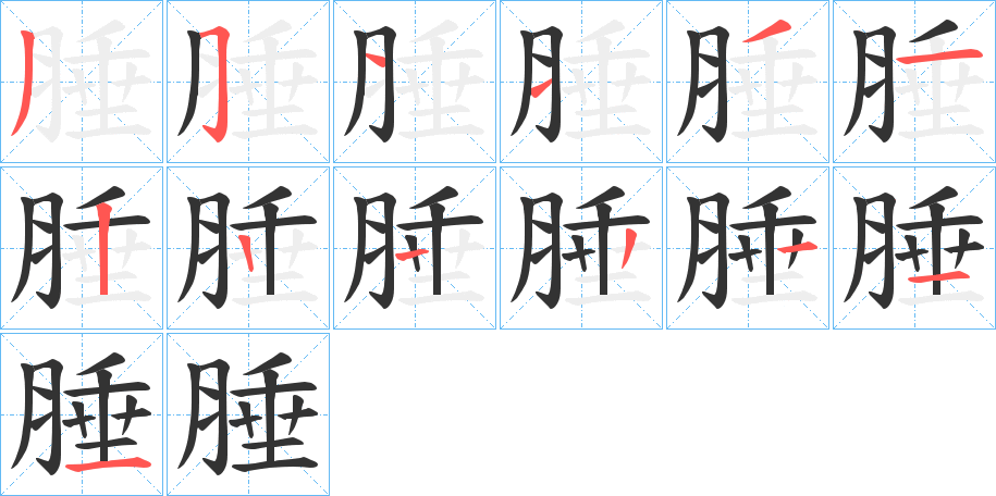 腄的笔画顺序