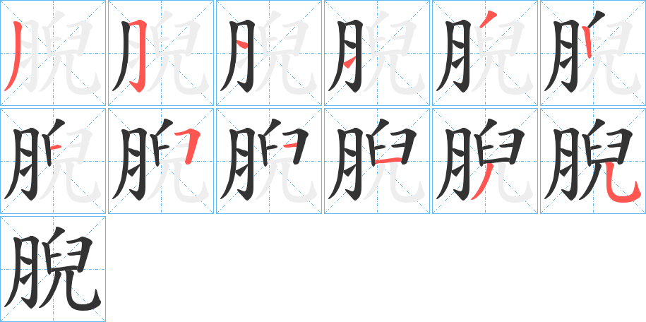 腉的笔画顺序