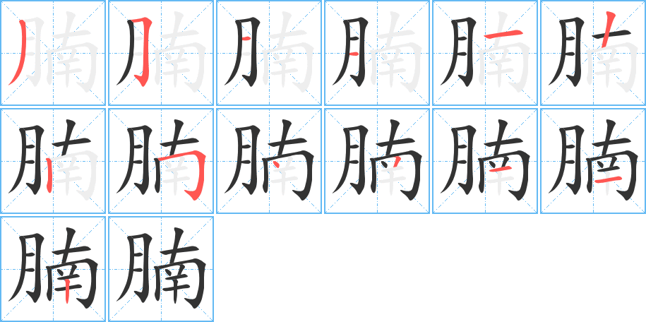 腩的笔画顺序