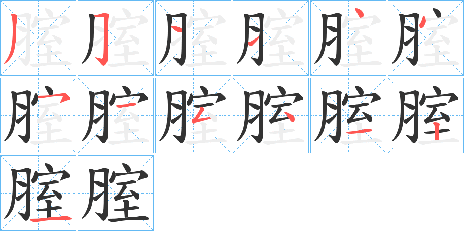 腟的笔画顺序