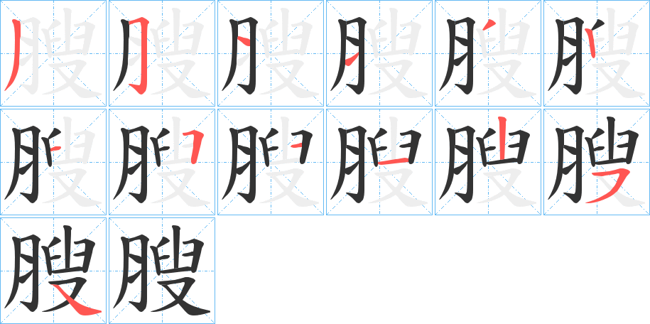 膄的笔画顺序