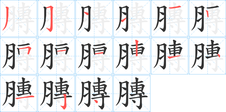 膞的笔画顺序