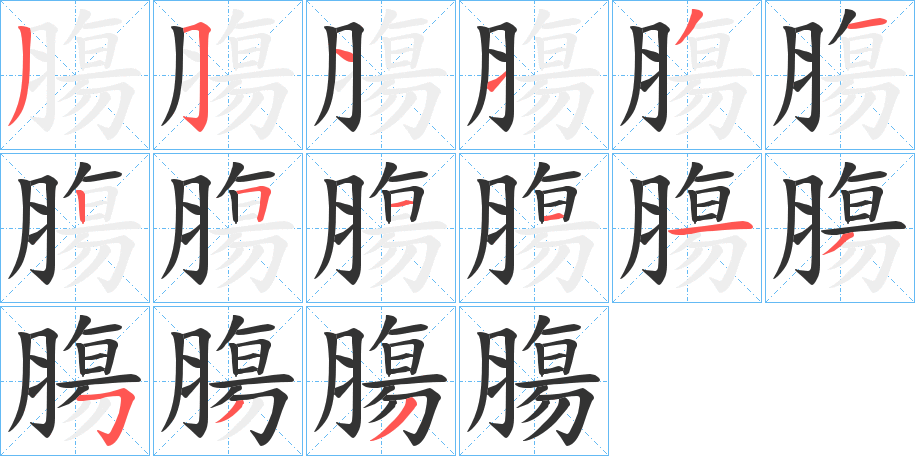 膓的笔画顺序