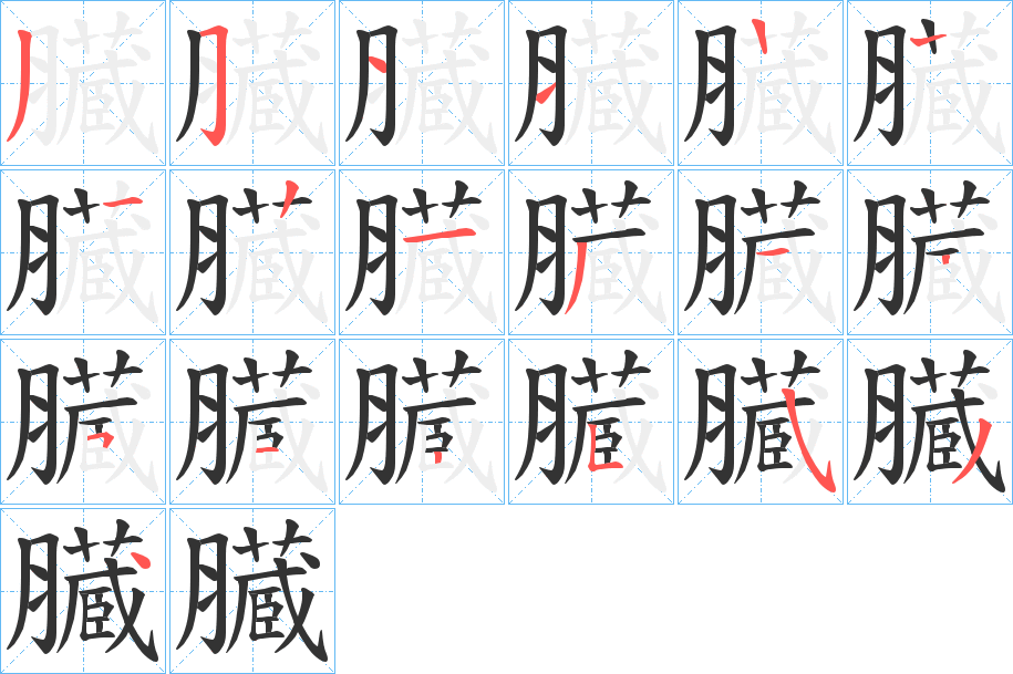 臓的笔画顺序