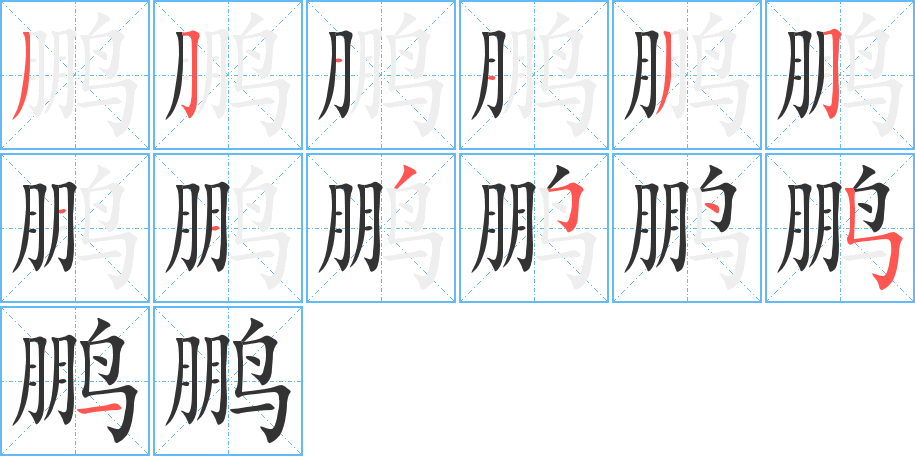 鹏的笔画顺序