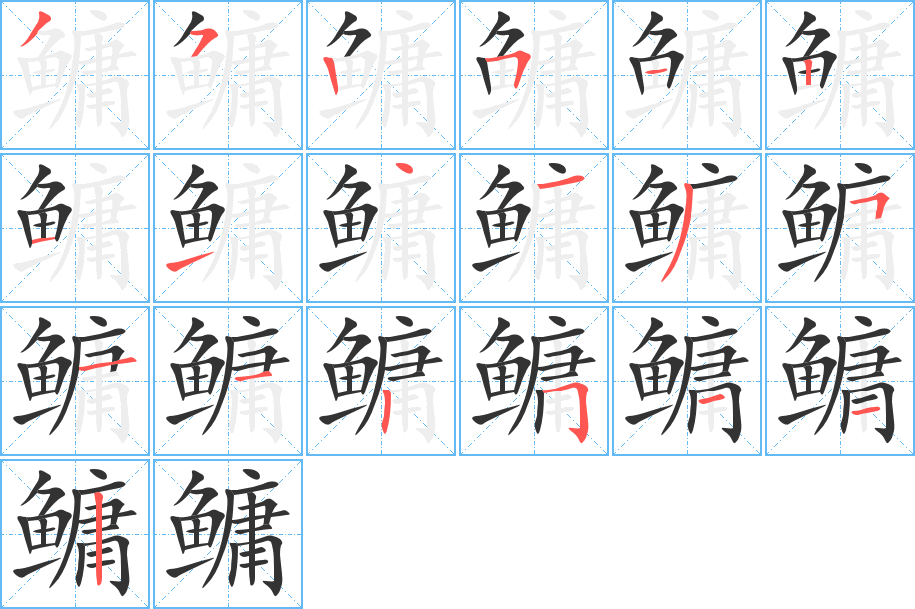 鳙的笔画顺序