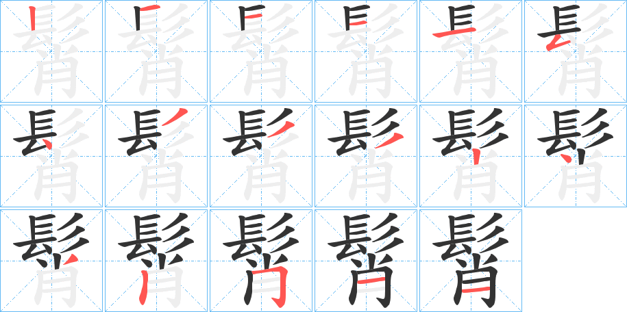 髾的笔画顺序