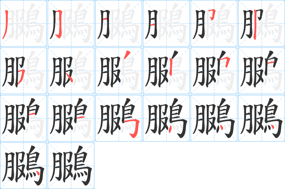 鵩的笔画顺序