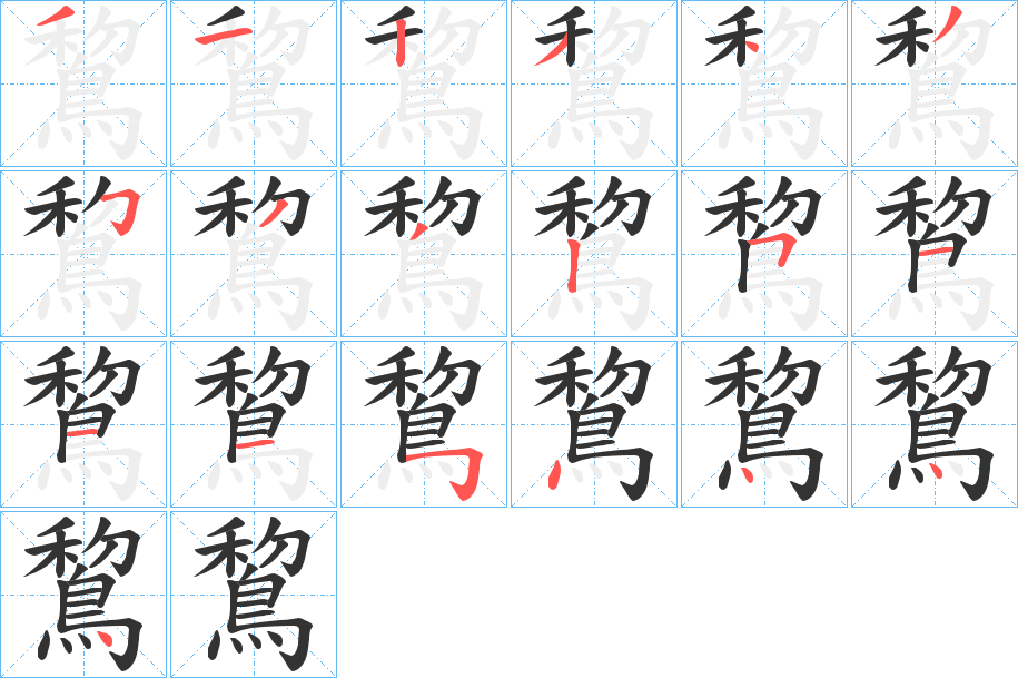 鵹的笔画顺序