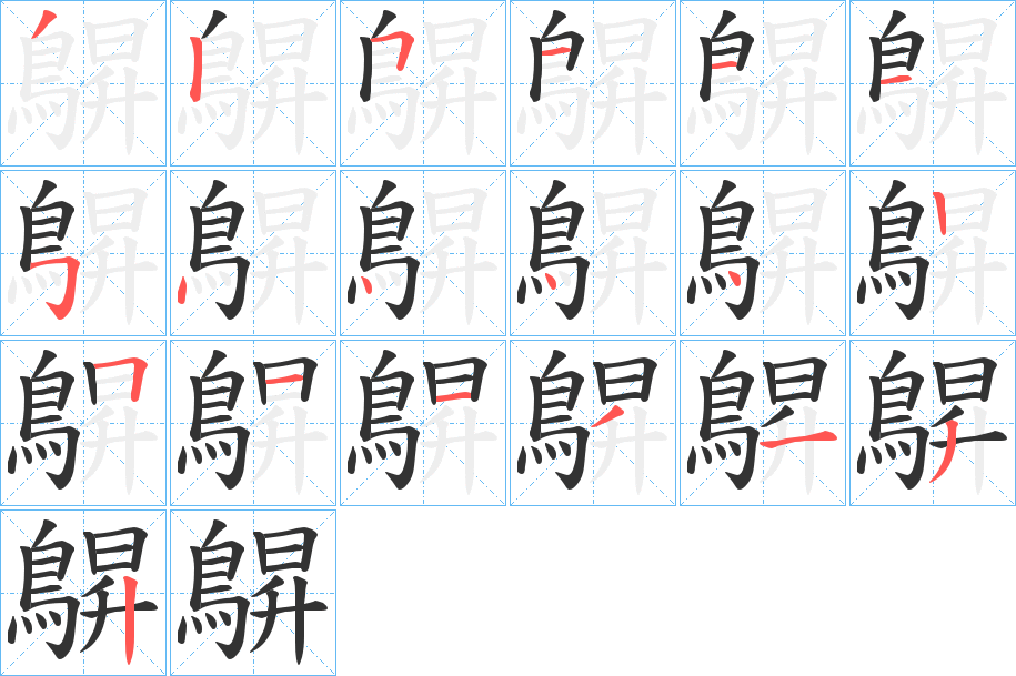 鵿的笔画顺序