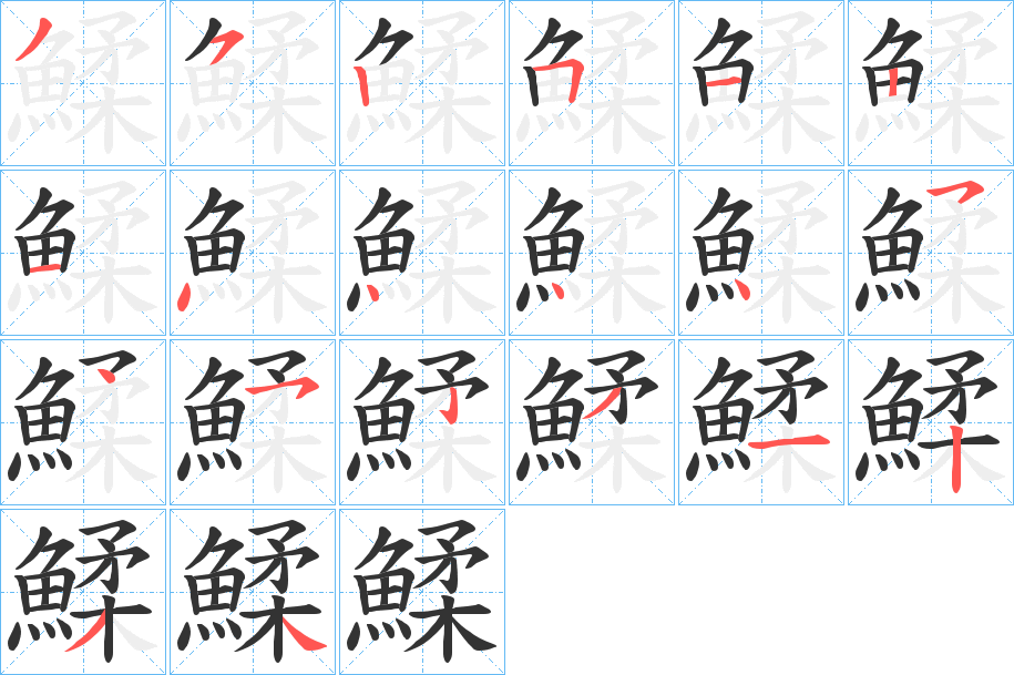鰇的笔画顺序