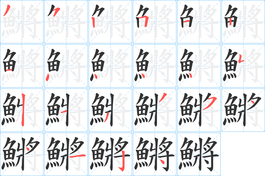 鱂的笔画顺序
