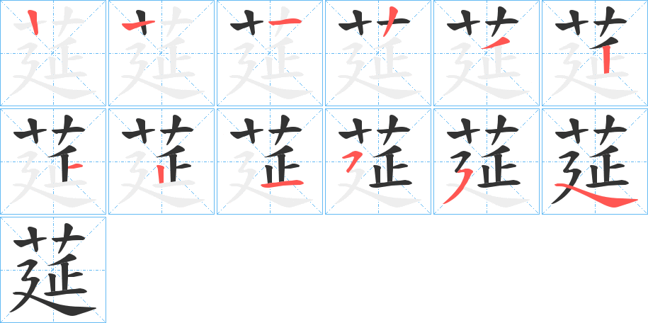 莚的笔画顺序