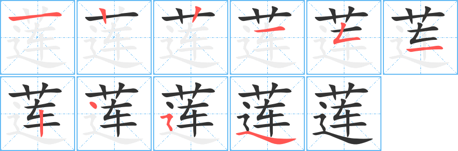 莲的笔画顺序